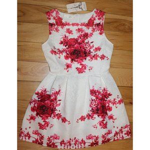 Boutique Dress Pink/Red Roses on White Damask